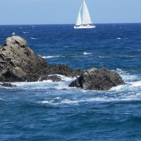 Le Case Punta Negra Стинтино Екстериор снимка