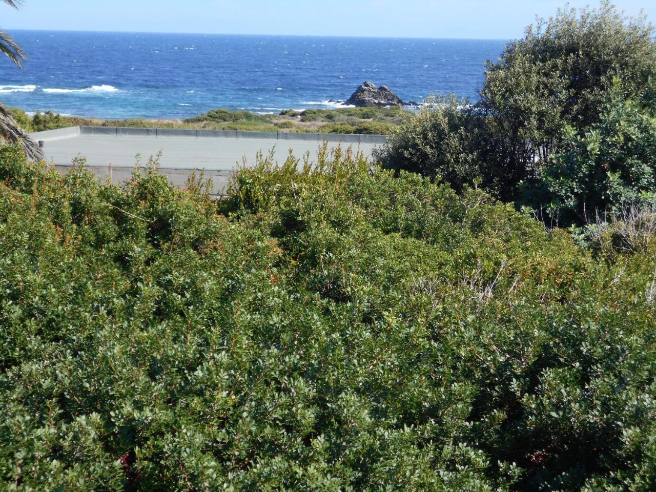 Le Case Punta Negra Стинтино Екстериор снимка