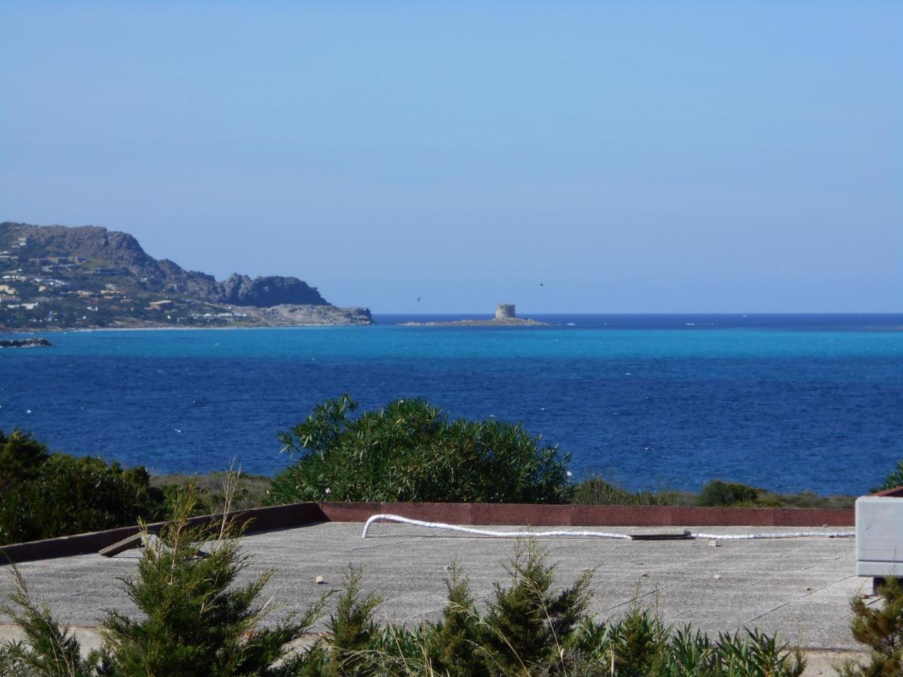 Le Case Punta Negra Стинтино Екстериор снимка
