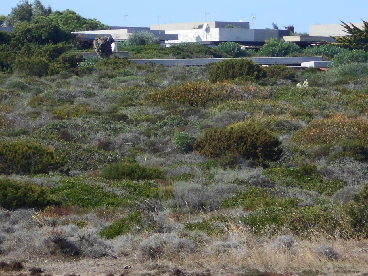 Le Case Punta Negra Стинтино Екстериор снимка