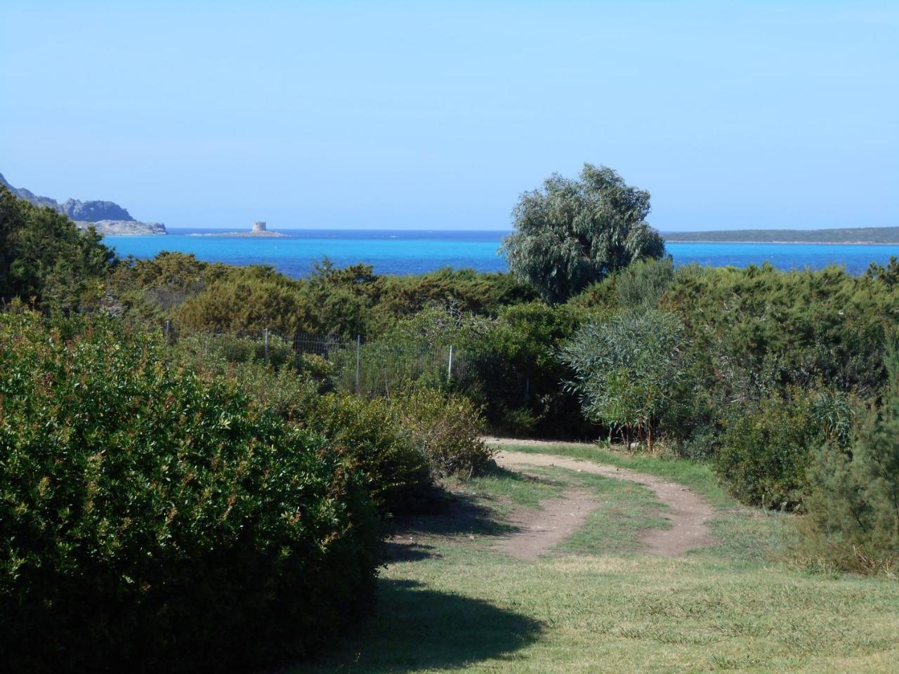 Le Case Punta Negra Стинтино Екстериор снимка