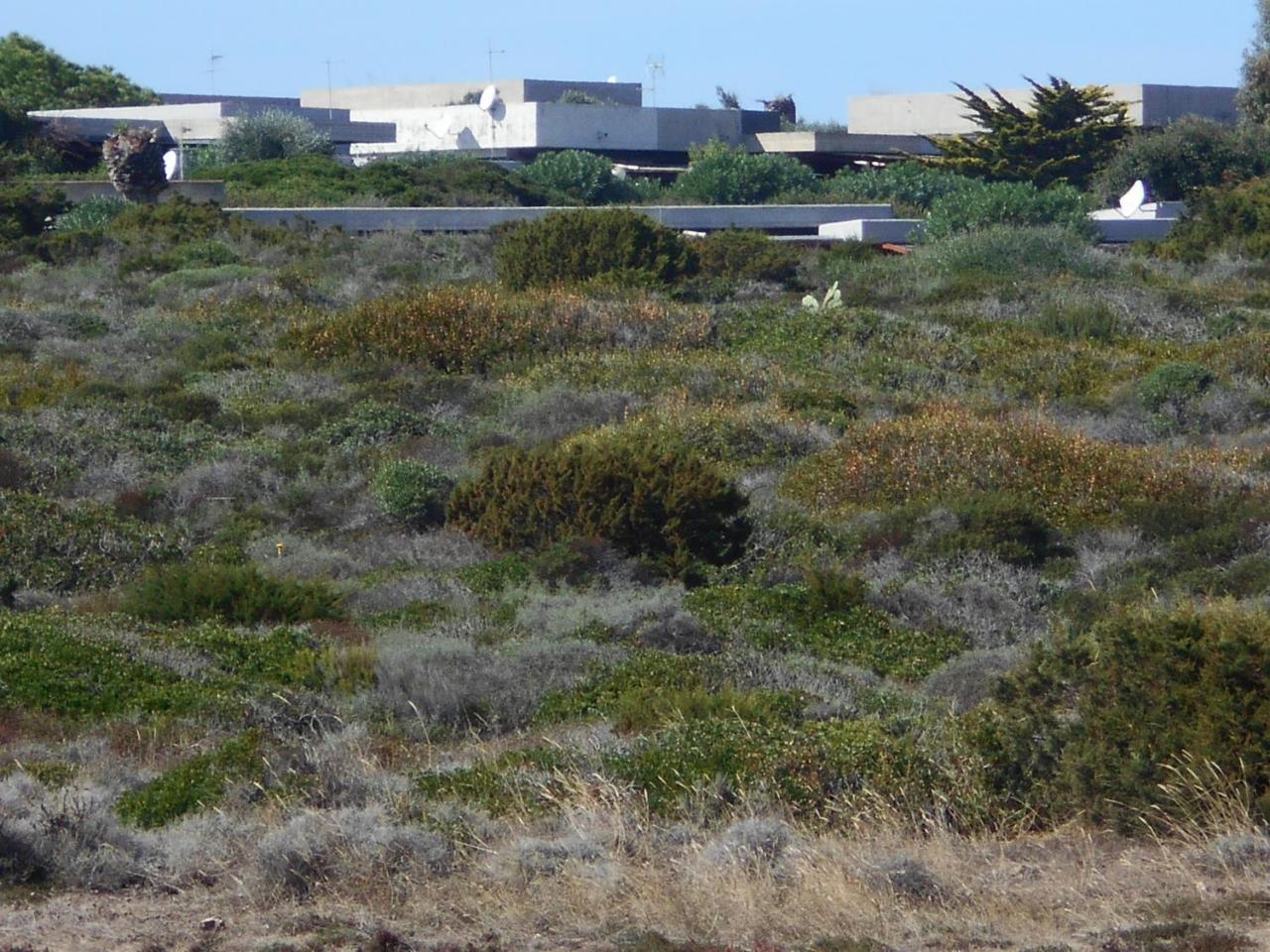 Le Case Punta Negra Стинтино Екстериор снимка