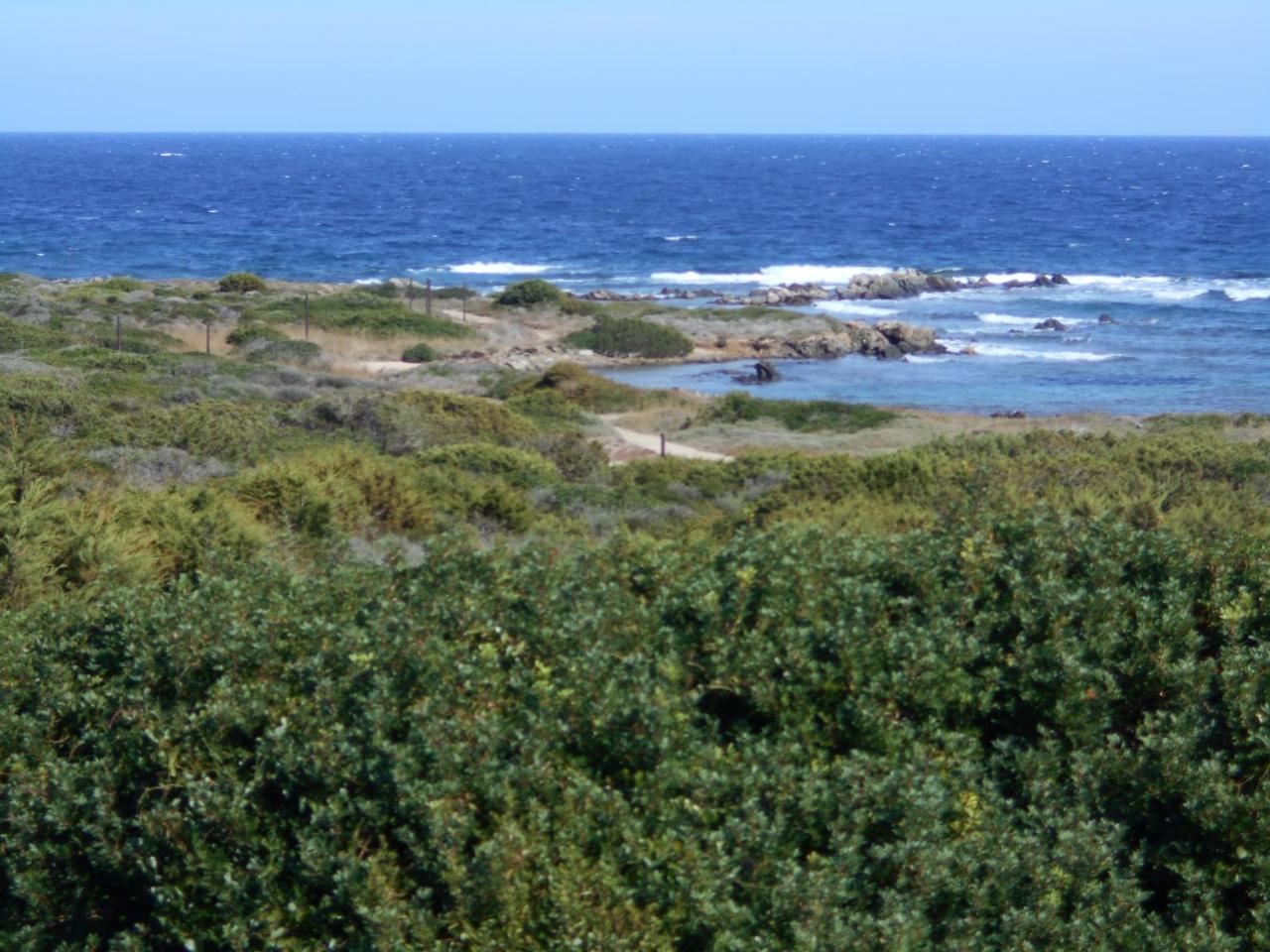 Le Case Punta Negra Стинтино Екстериор снимка