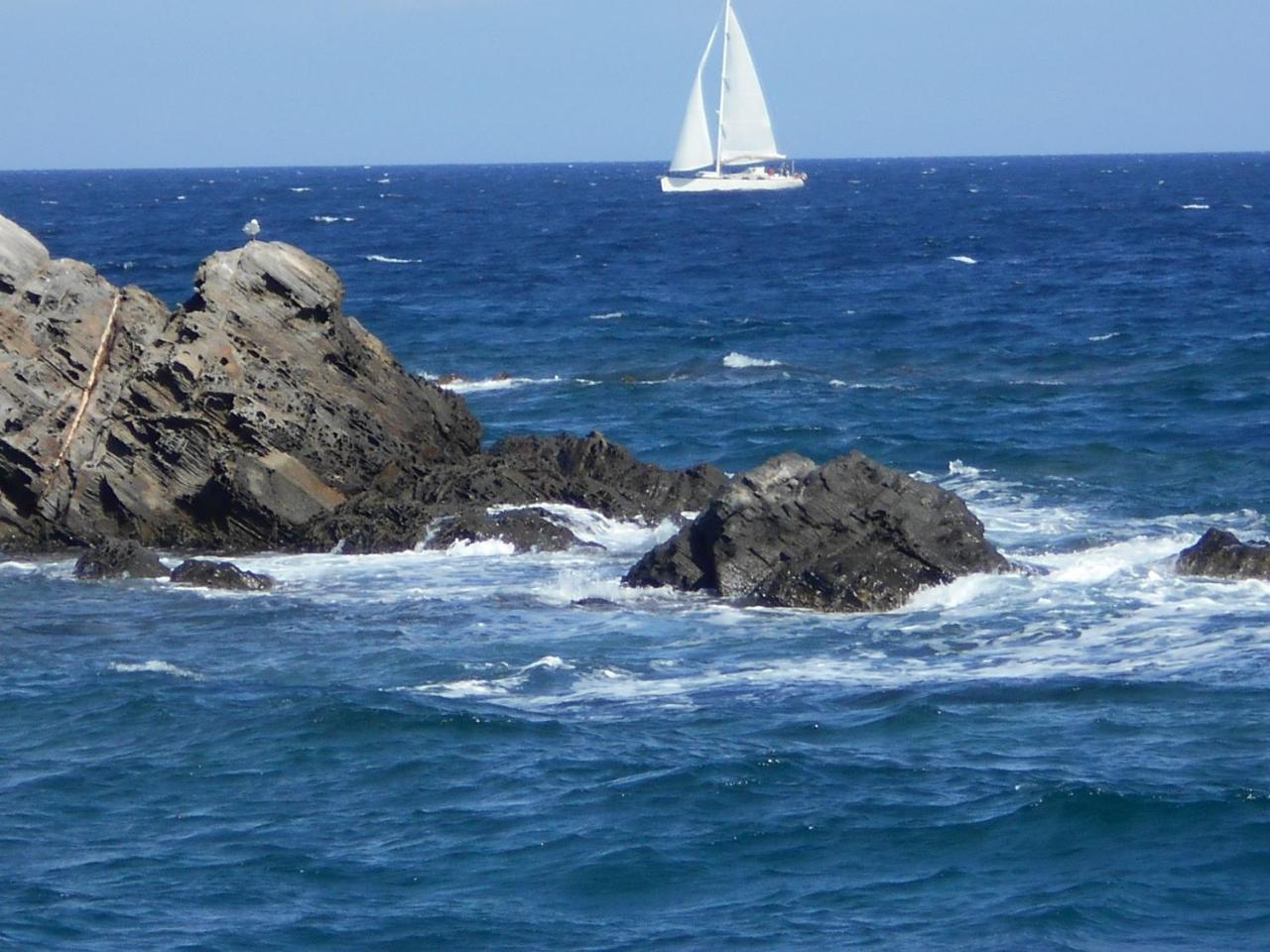Le Case Punta Negra Стинтино Екстериор снимка